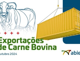 Exportações brasileiras de carne bovina batem recorde em 2024